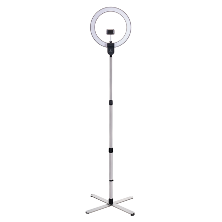 Daylight Aura Ring Floor Lamp
