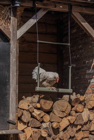 Huske til Høns, Grå - 30cm