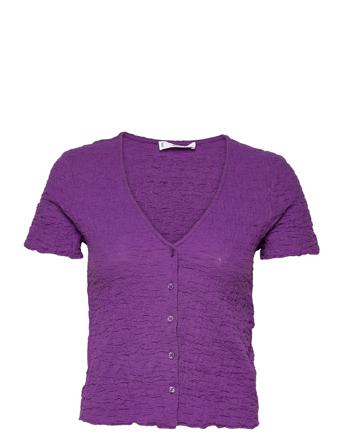 Brinda Purple Mango