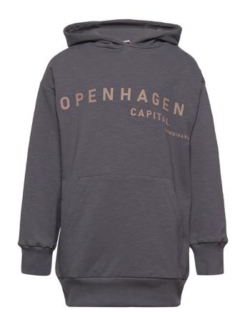 Saymon - Sweatshirt Hoodie Blå Hust & Claire