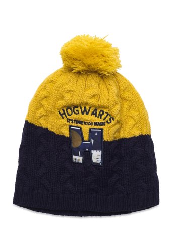 Harry Potter | Bonnet/Peruvien/Cagoule | 52
