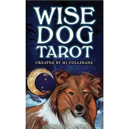 Wise Dog Tarot Divination card