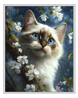 Paint by numbers Harmoni