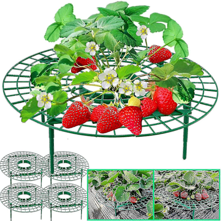 5 Pakk Jordbærstøtter Jordbærplante Støtte Jordbærvekst Stativ Jordbærvekst Ramme