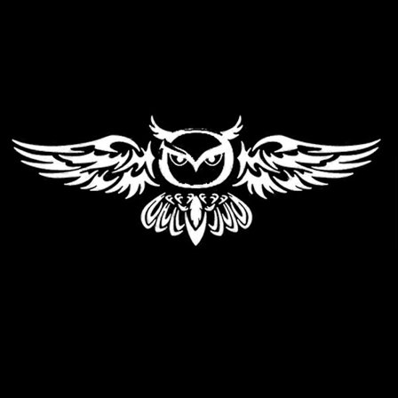 S095 PET Vedenpitävä Pöllökuvioinen Auton Takaluukun Koristeellinen Tarratarra