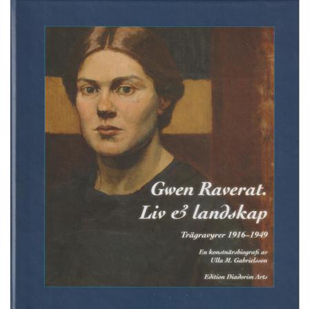 Gwen Raverat. Liv & Landskap. En Konstnärsbiografi 9789198604634