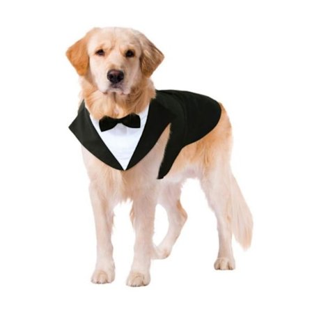 Dog Tuxedo Dog Suit Vintage Design