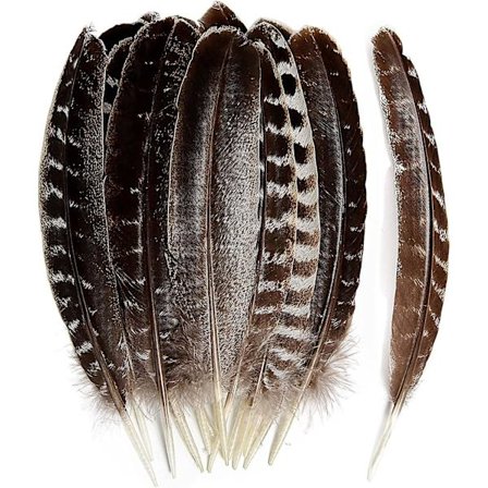 24 stk. Naturlige Ville Kalkunvingefjær Quill Bulk 15-20 cm for DIY Håndverksprosjekt Samling Bryllupsdekorasjon Ville Kalkunhalefjær