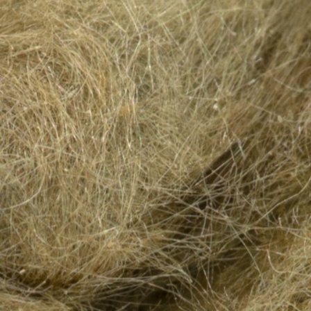 Semperfli Kapok Dubbing - Olive