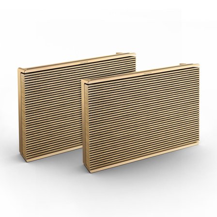 Bang & Olufsen Level x2 Draadloze luidspreker met accu