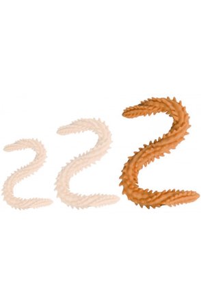 DoublePlayz Doppeldildo Scolop Orange 60 cm