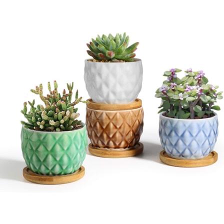 8cm 4stk Keramisk Saftig Potte med Bambusbakke, Kaktus Botanisk Have Blomsterpotte Indendørs Dekoration Kontorbygning