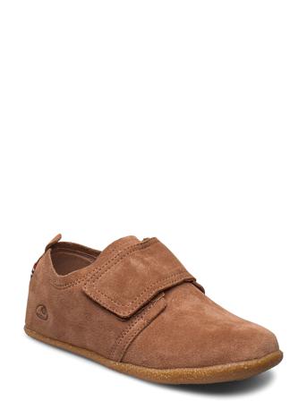Frigge Brown Viking