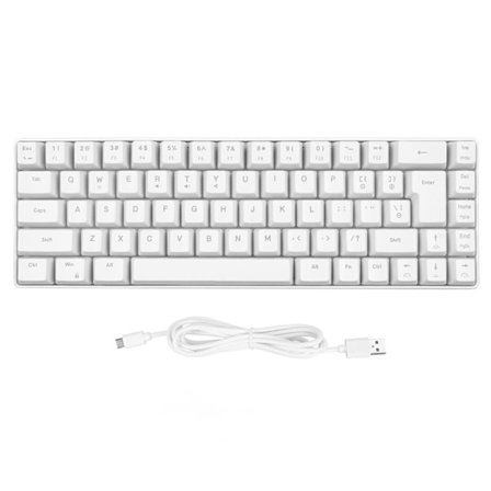 V200 Mekaniskt Gaming Tangentbord Portabelt 68 Tangenter Trådbundet RGB Bakgrundsbelyst Tangentbord för IBM PC Win98SE Vit