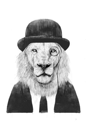 Pelcasa - Juliste Sir Lion - Valkoinen - Julisteet - - Homeroom