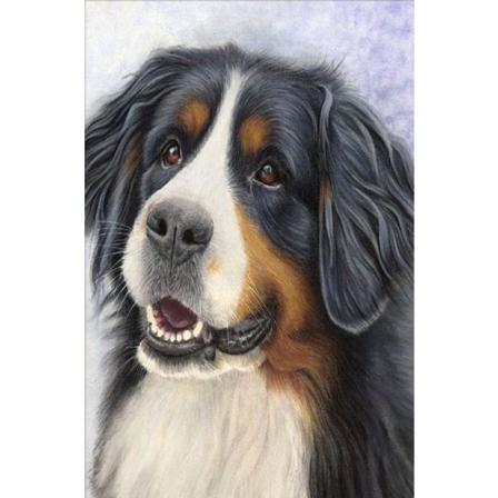 Diamond Painting 5d Diy Diamant Målning Stl.30*40cm
