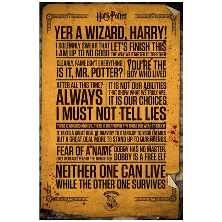 Harry Potter Poster Quotes 263
