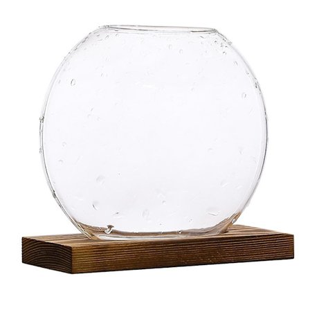 Hydroponisk glasvas Skrivbord Glas Planter Hemmakontor Dekor Mörk