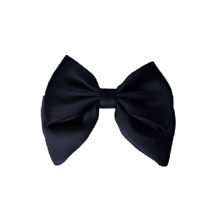 Complement Nackspänne Med Rosett 14 Cm Accessoarer & tillbehör Dam Svart