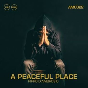 A peaceful place PIPPO D'AMBROSIO