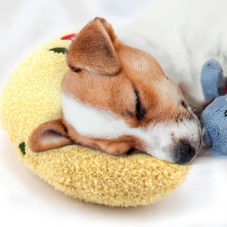 Koiran tyyny, ahdistuksen lievittämiseen tarkoitettu tyyny koiralle, erittäin pehmeä ja tiheä rauhoittava tyyny nivelten helpottamiseen ja unen 