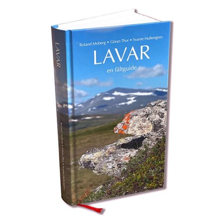Lavar : en fältguide (inbunden)