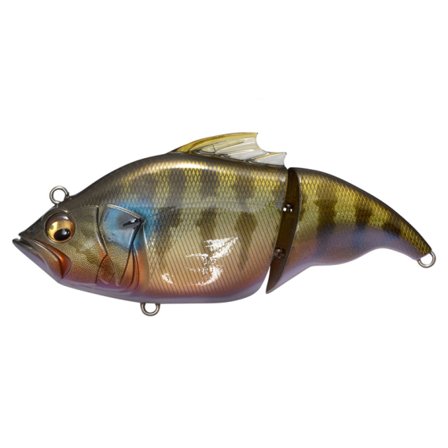 Megabass Vatalion(F) - Ito Cichlid