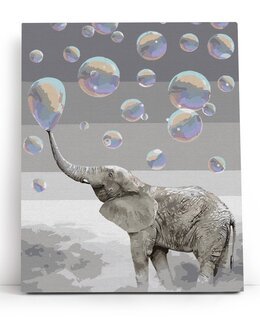 Painting by numbers Elefantti unimaisemassa