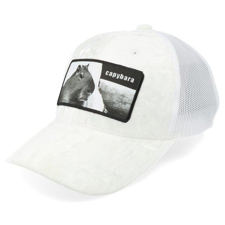 Calza Pennello - Kids Capybara Sofa Velvet White Trucker Trucker White Cap - @ Hatstore