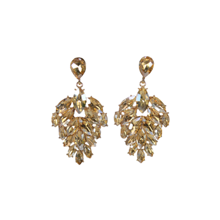 Complement Statement örhänge Örhängen Dam Brun