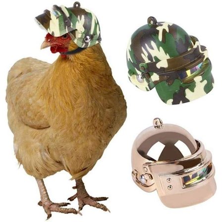 Kanin Kypärä Lintulakki Päällinen Lemmikkieläinten Kypärät Turvallisuus Pääsuoja Pienille Eläimille Halloween Joulu Asut Tarvikkeet Kanalle Sokeri 