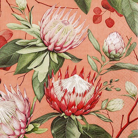 DaybyDay Servietter 33x33cm Madiba Protea coral