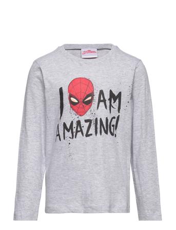 Long-Sleeved T-Shirt Grey Marvel