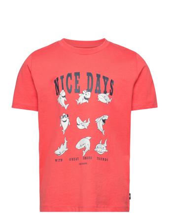 Tom Tailor Printed T-Shirt Korall
