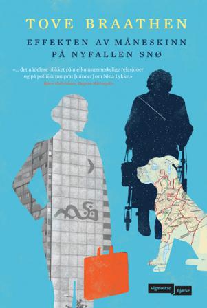 Effekten av måneskinn på nyfallen snø - Bok av Tove Braathen - Pocket