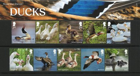 England - Ænder - Souvenirmappe