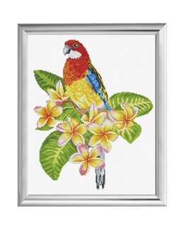 Stickpackung Bild Frangipanni Rosella - Needleart World