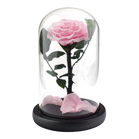 Romantisk Rosa Ros i Glaskupa - Perfekt Present