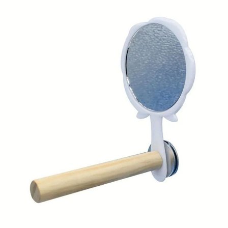 Papegøje Stand Pind Fugle Stand Aborre Fugle Stående Stang