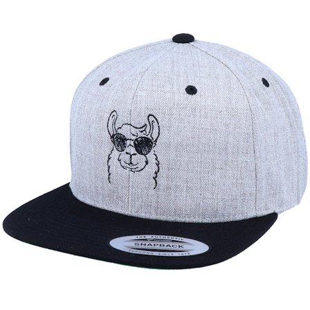 Iconic - Gris snapback Gorra - Cool Llama Lines Heather Grey/Black Snapback @ Hatstore