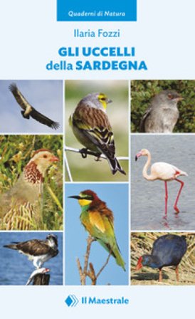 Gli uccelli della Sardegna Ilaria Fozzi