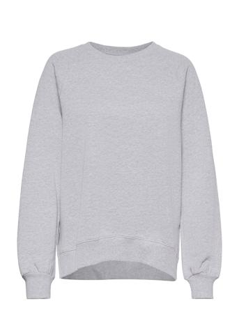 Etta Sweatshirt Svetari Collegepaita Harmaa Makia