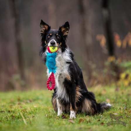 Doggie-Zen Elastisk Hundeleke med Fuskepels og KONG Air Ball - 32cm