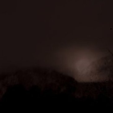 Perdition hill radio WILL FOWLER COLLINS