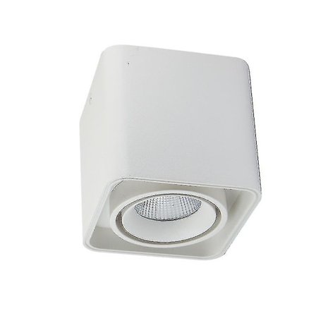 Justerbar Loftlampe (med 5w LED Pære), 220v Neutral Lys 1 stk Hvid