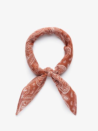 John Henric Men's Terracotta Bandana Paisley Size Onesize