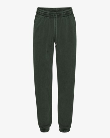 Organic Sweatpants - Midnight Forest - Female - XS