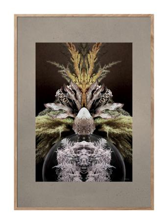Vintage Reflection Cc1 Home Decoration Posters & Frames Posters Botanical Multi/mönstrad ChiCura