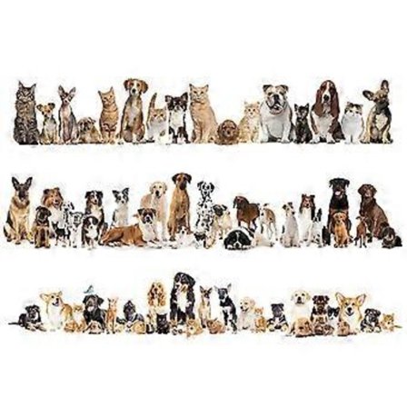 Zoa Hund Veggklistremerker Tegneserie Bakgrunn Hjem Veggklistremerke Valp Veggklistremerker Barnerom Veggklistremerker