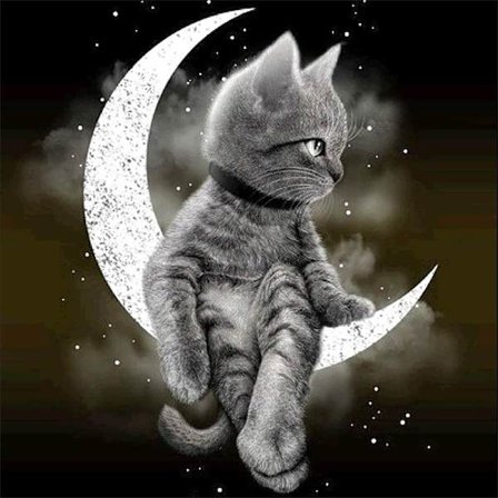 Wolves DIY Full Drill 5D Diamantmålning Broderi Korsstygnskit Dekor US Lager